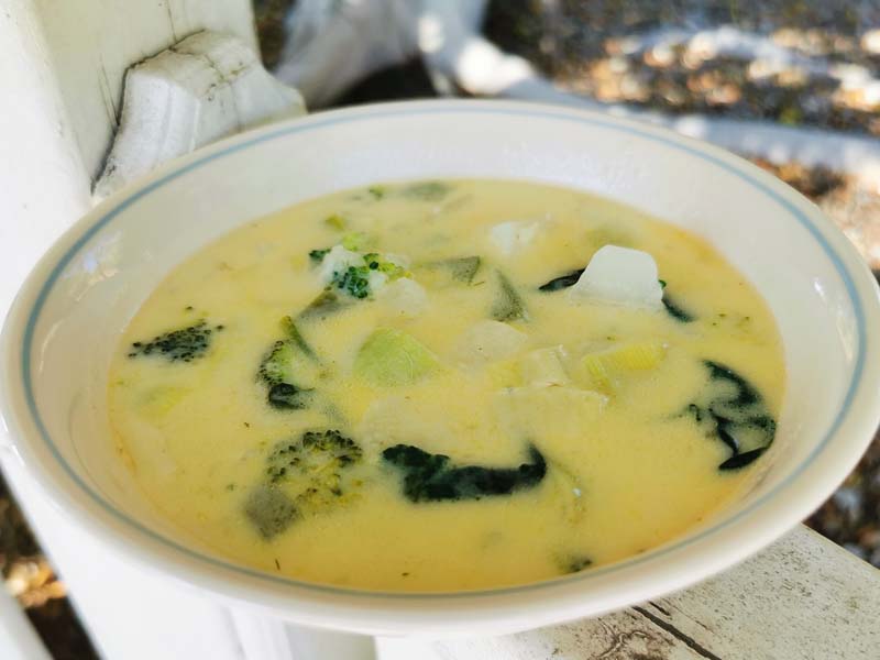 Vegan Recipes - Broc-a-leekie Soup